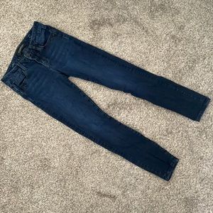 LIVERPOOL Jeans Petite 25